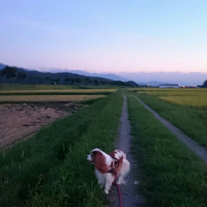 1169a9ca 85a2 4386 ac88 4eb11072b16f 1567852295156