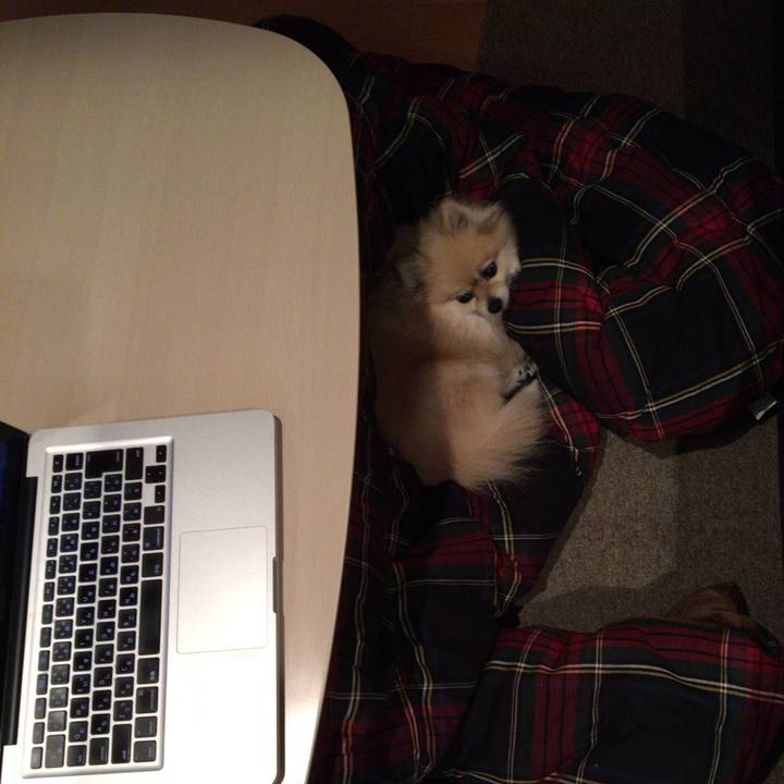 1169b925 6f1d 4b35 88ce bf4318aeaa3f 1542285739537