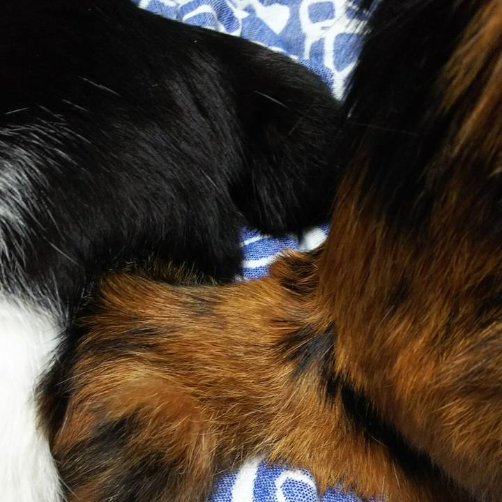 1169c24c 0394 4eca 8ebc 07cfccc3092c 1529326859741