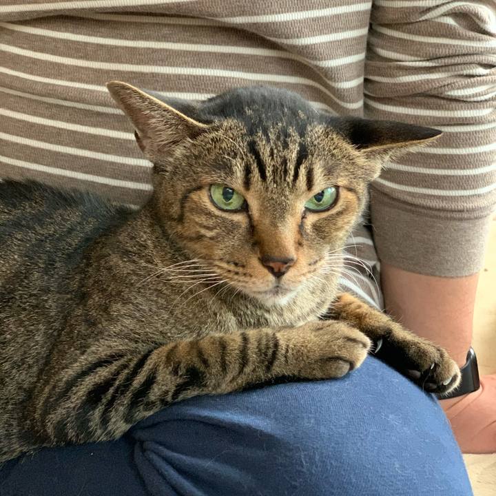 116a0652 a274 43b5 8687 1542f1b26902 1571620984682