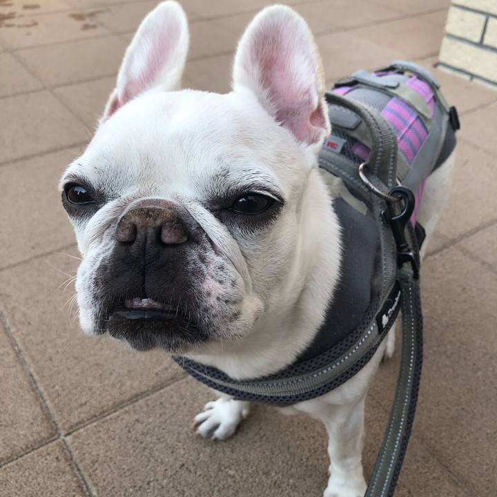 116a178e 73c9 4f50 be10 66e2953d1594 1668228805486