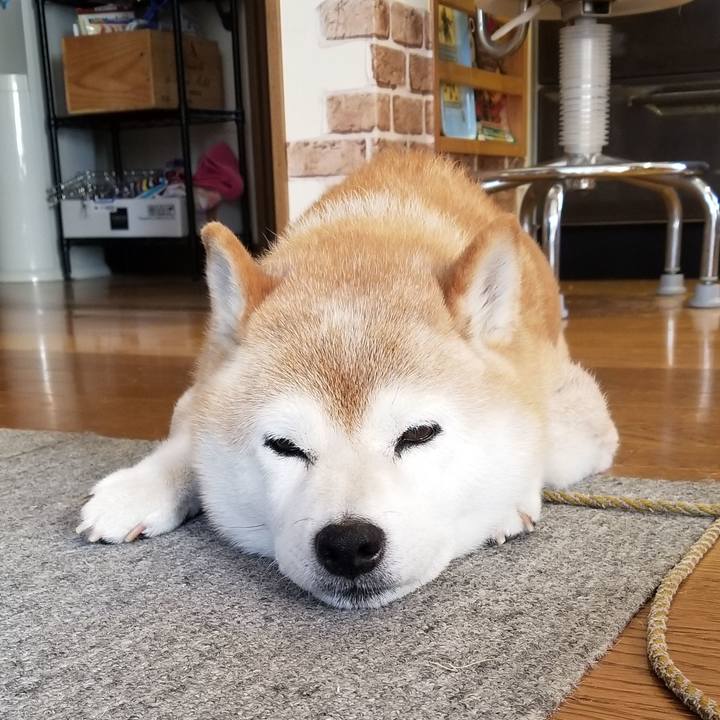 116a568e b7b2 47c4 ae28 5ee775791505 1691533101939