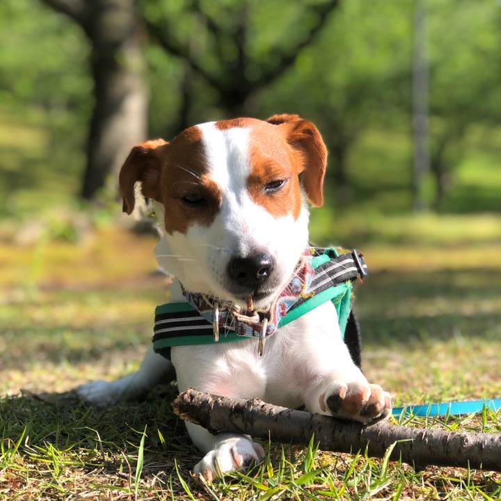 116a73fc 25f7 484f 8c72 b03b9e75f226 1589275781297