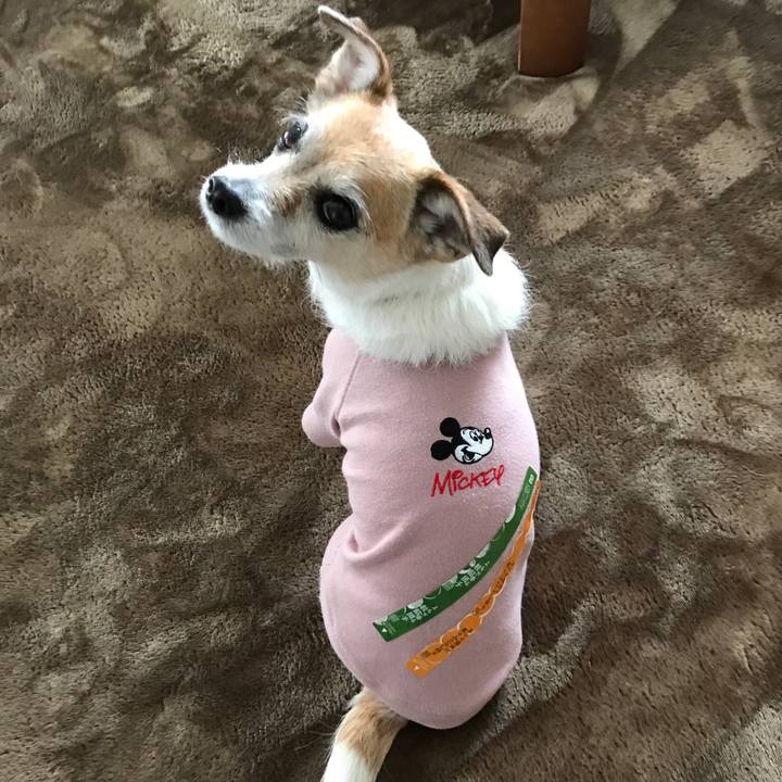 116a7940 4050 4704 a053 97df38c69572 1642500003905