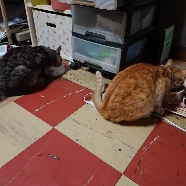 116a7a6e 9c3b 4f85 a83e 6d923578c954 1559725408157