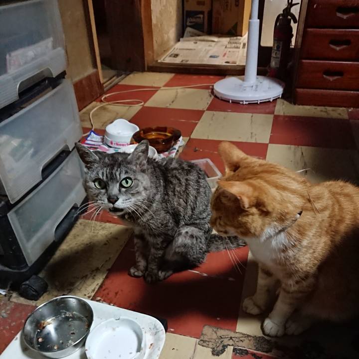 116abdf3 60ea 4d5d b951 3431fe6efb6d 1594373568320