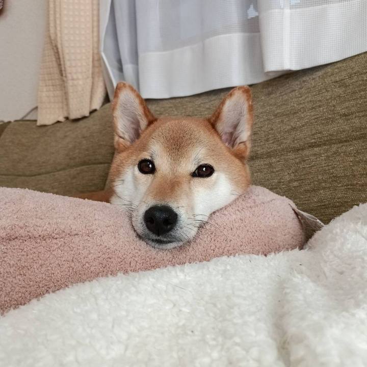 116ace36 24ef 4975 890a 6a730b1e9bd5 1738295196536