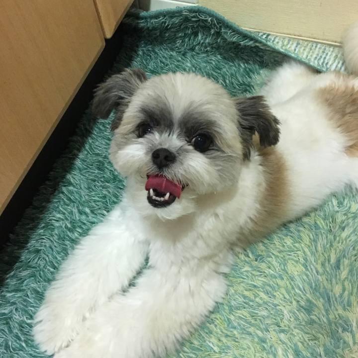 116af516 7eec 4376 a13a 2e46bd3b0fb7 1537521027285