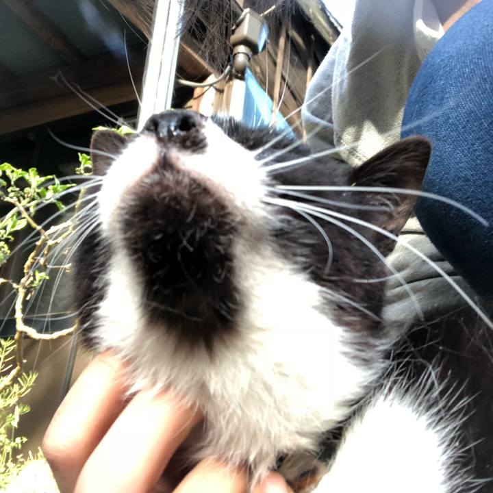 116b1254 7092 44af bdd2 344de808107a 1523511228066