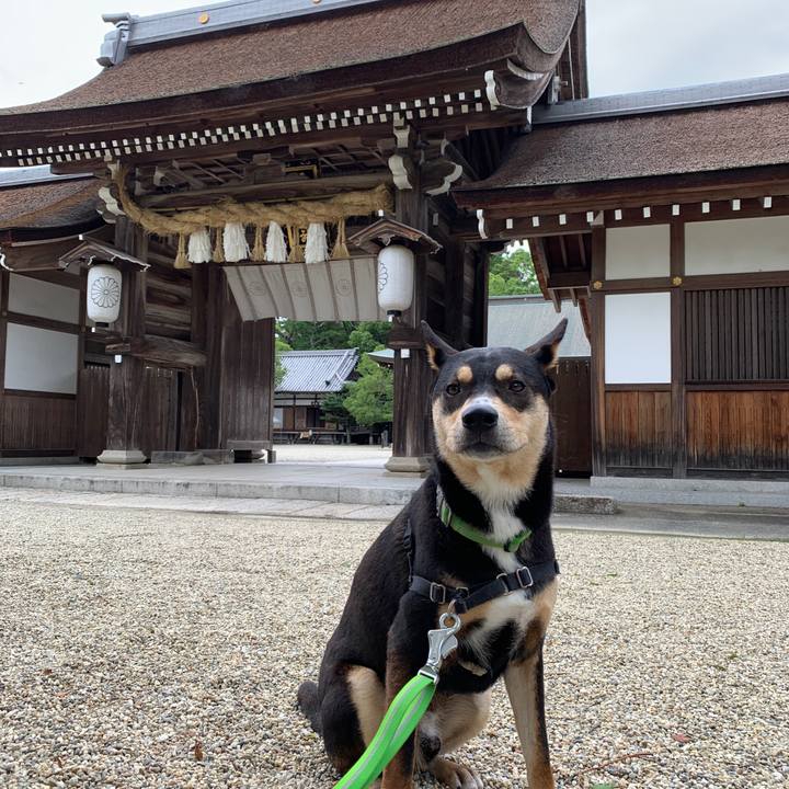 116b3ef4 4061 40c9 9e16 d575232719fd 1563699702797