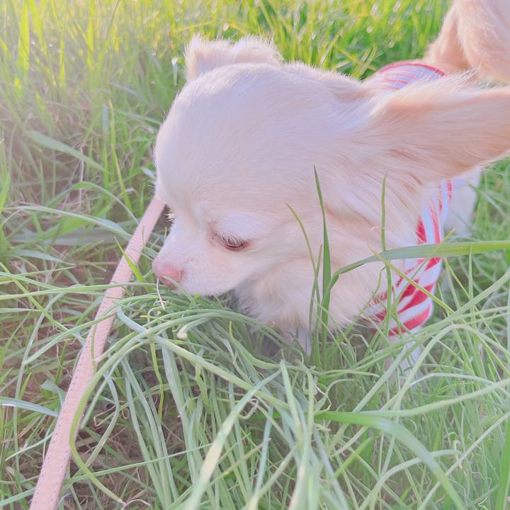 116b4dfa 9f87 430a a9ed 0c48db64f96e 1678963890887