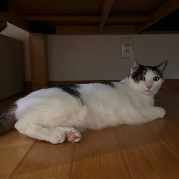 116b55f2 5ac1 4898 9b24 9cc75e725d4f 1757674394066