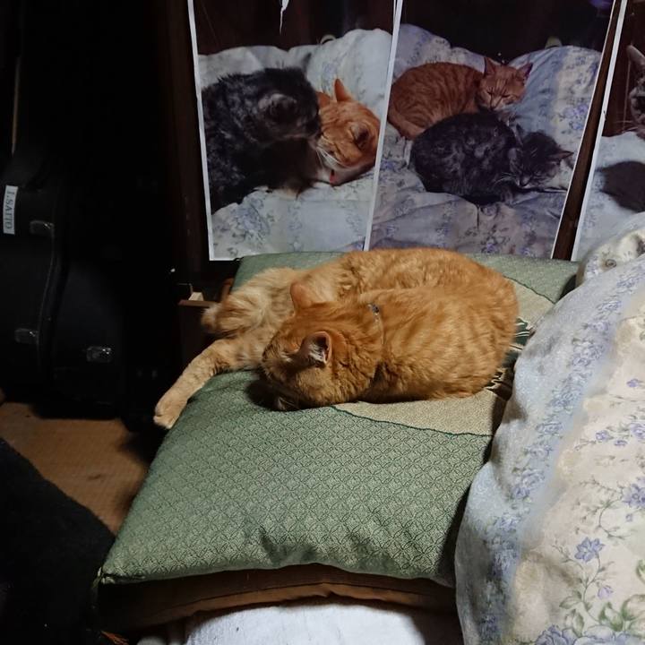 116b9c86 d6cf 4136 9f61 dc04c6f16647 1660745964114