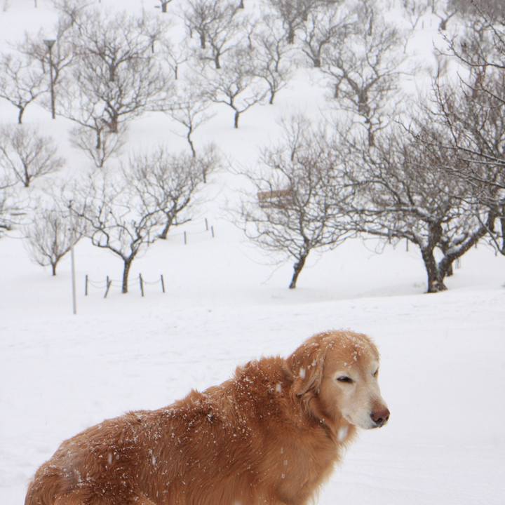 116ba270 f0c9 4366 889d 1825cd4de5b9 1765182920961