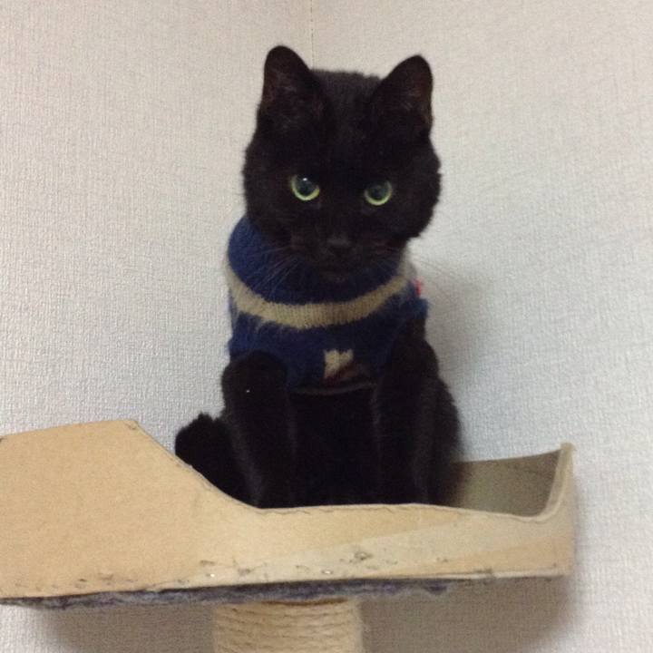 116c0349 8bd6 4028 a954 50f34c3935bc 1549488892777