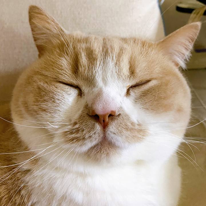 116c17b0 74a9 4cf8 9bc6 09ca85314ad1 1605255203438