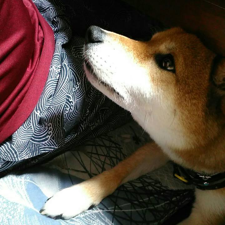 116c4af5 71be 44f0 ac4a d25798a79f86 1563617895727