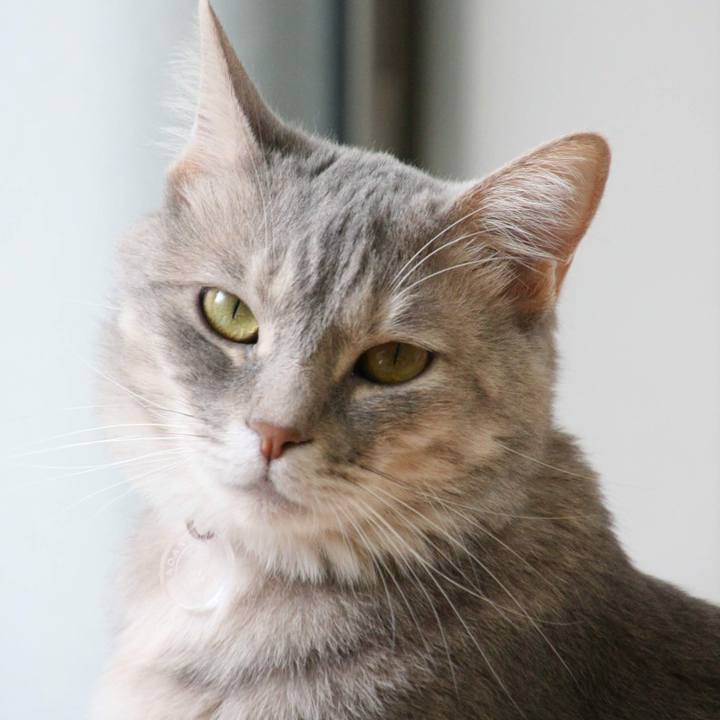 116c7386 7ea9 4cf3 a76a 3041996ce843 1529478973662