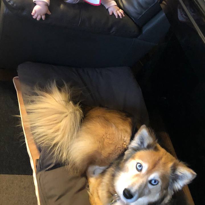 116c7704 04be 497e b807 9794a87b26c6 1577116093966