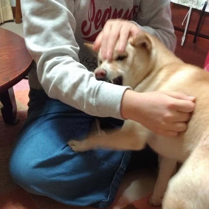 116c7a2b 1db4 400a 8803 7217d2abfde5 1544046299433