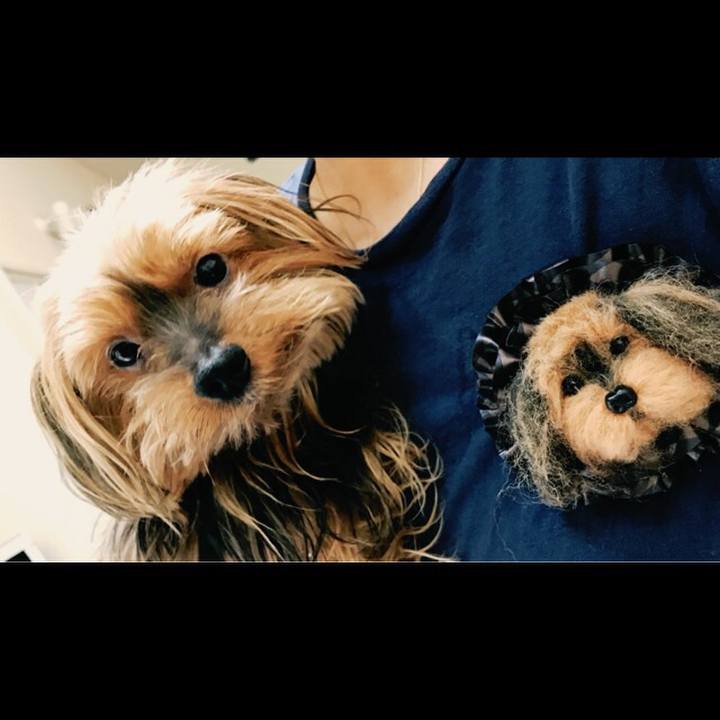 116c80fd 7288 4e4b 9cf5 bbd9527d15dc 1537076984214