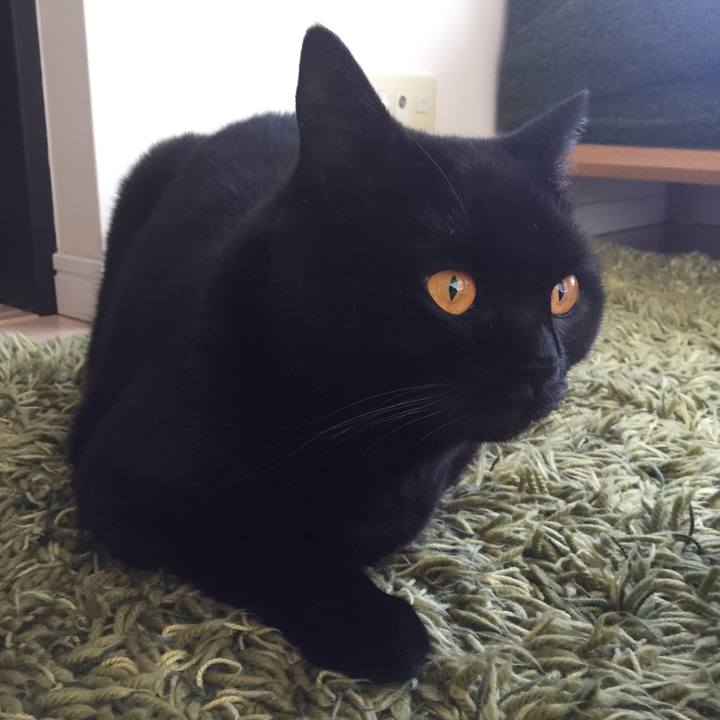 116c84be 080e 493a a2af c39145c030b1 1528320760413