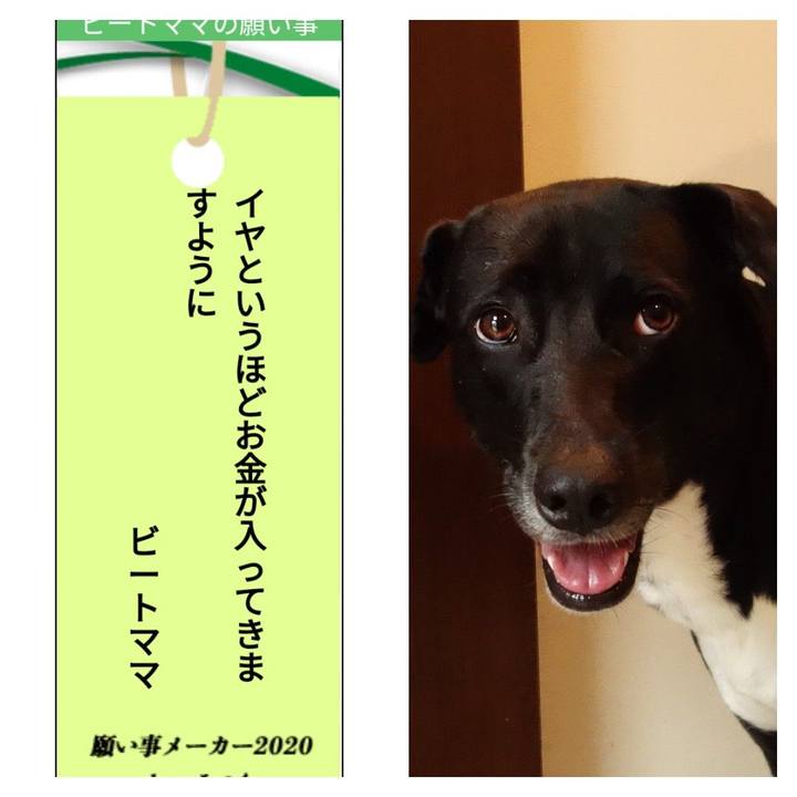 116ca90c 8cb6 47ba 8769 8f610b262ff1 1594085022980