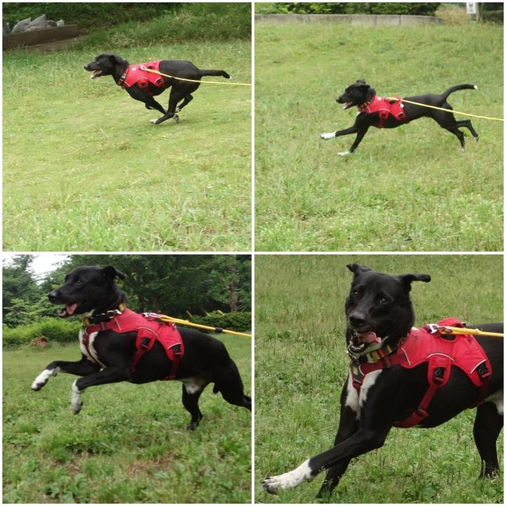 116cbbe1 ae4d 4389 96c5 a00727441914 1591231997010