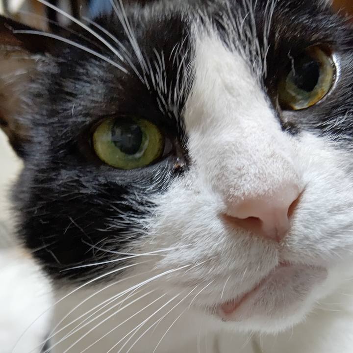 116cf1fb 3833 456d a94a 1d41204da741 1602843272096