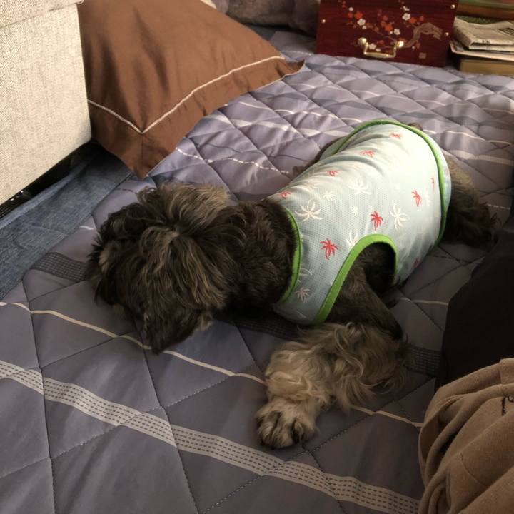 116d11f2 12ab 413f b54e a9e52c0655f8 1663304790769