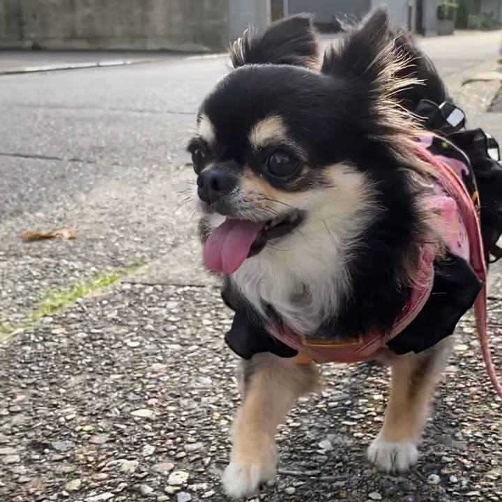 116d2b19 4a65 4b84 b418 c80bc24ff034 1631774835455