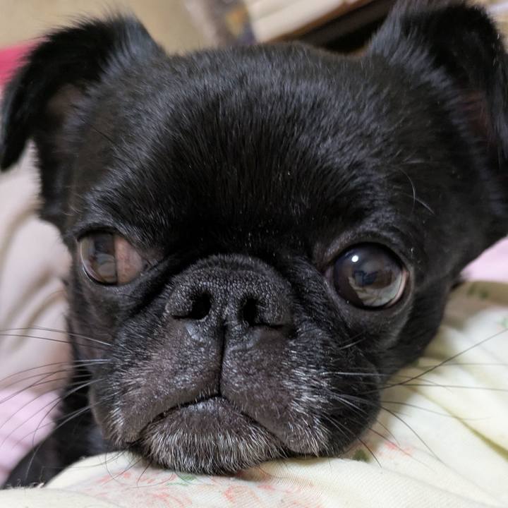 116d2de2 eb0b 4166 b0eb 529dcae1df84 1762518932694