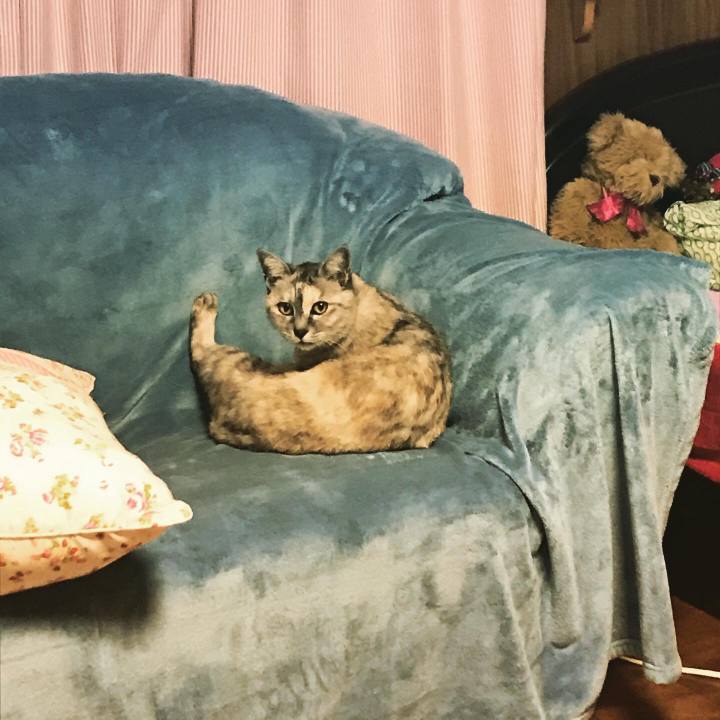 116d3690 e664 4ff0 9cec af4531262c29 1578223223829