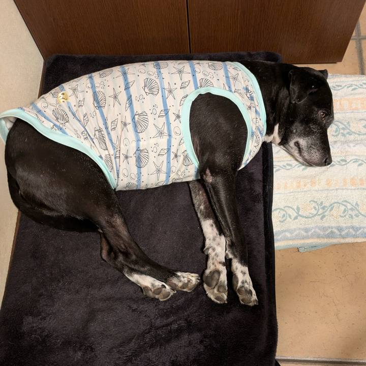 116d487f d599 4dd2 ac28 b5cff87a874b 1735133071608