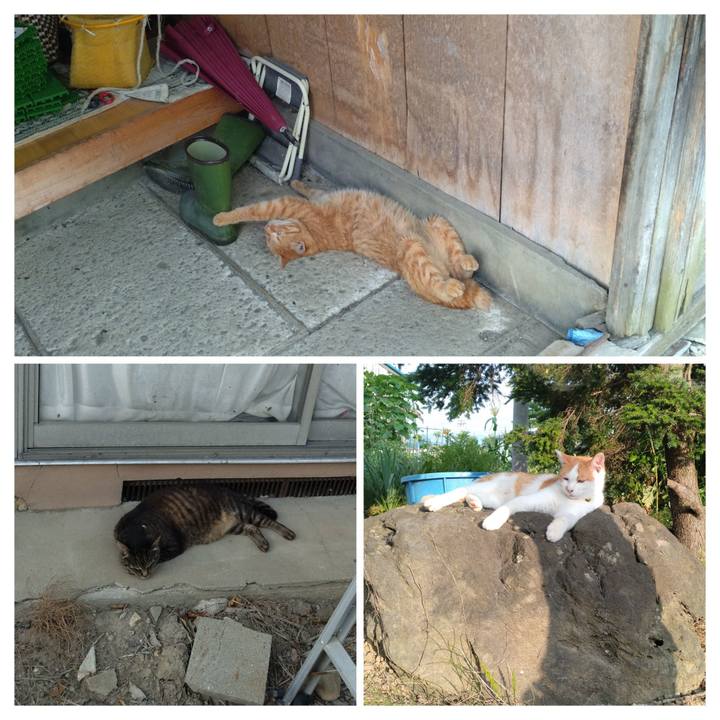 116d65ca 9d7b 4b6e b8e1 315ef2b7fb02 1752064851208