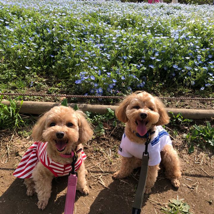 116d7a4d 7486 4502 868c 405e28de2057 1681645626837