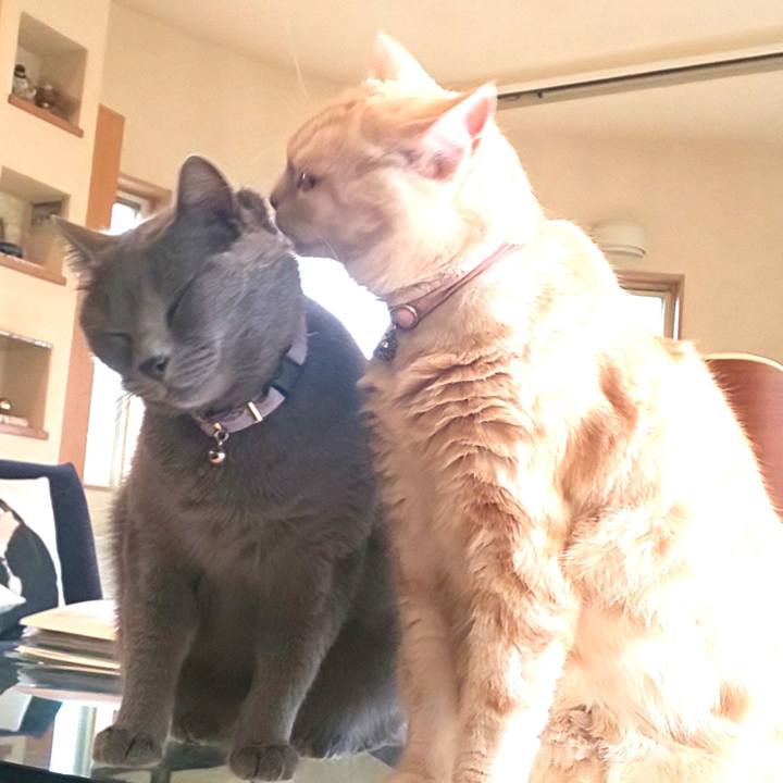 116d7b92 291c 4d79 8070 728d2d826944 1593589835972