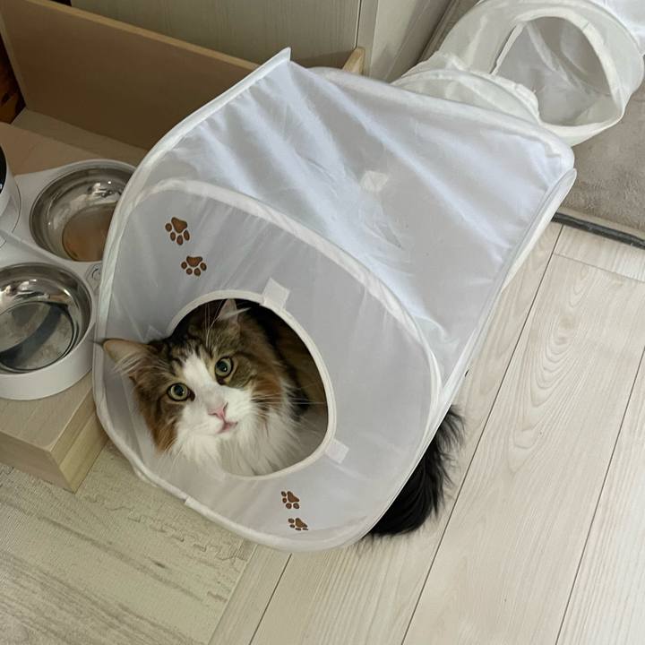 116d88c9 1357 472f 8d07 d9cdf32727d0 1717880102810