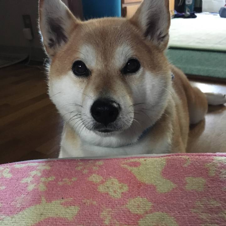 116dbe9a 8c03 4f7a a4e8 fa8c3c1da466 1564560414884