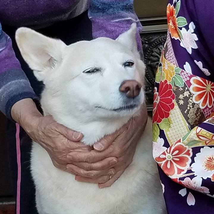 116e3862 bc99 44cd 9e0d 05065ee4a4f6 1578917439504