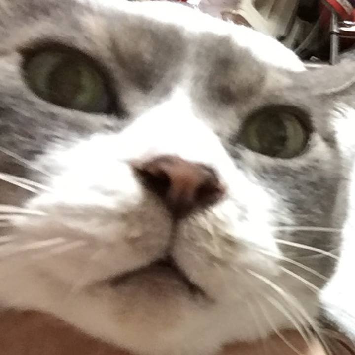 116e8400 eed1 4198 9e2a 9e0744d96543 1581550405474