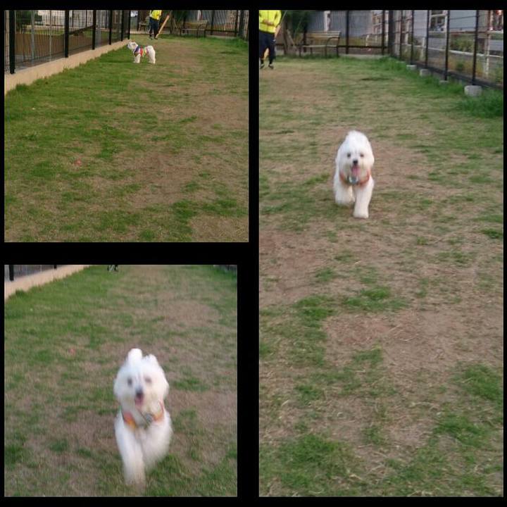 116e956b bec0 4a87 ac8a f072916ad501 1526737527236