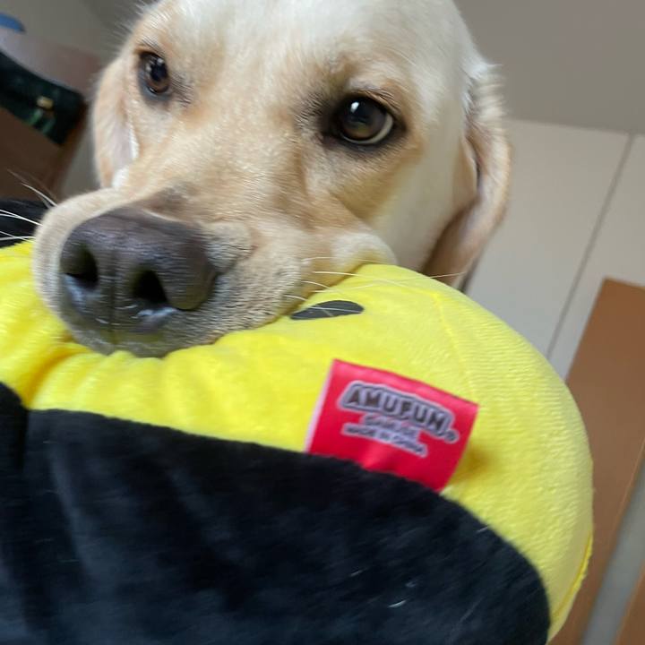 116f17a3 47cb 4b43 8089 fcafd5826435 1659830857449