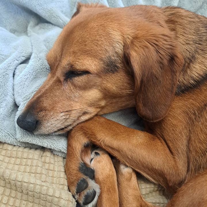 116f48eb 8efc 45be 9aa0 f54e1dbd9d58 1774832928477