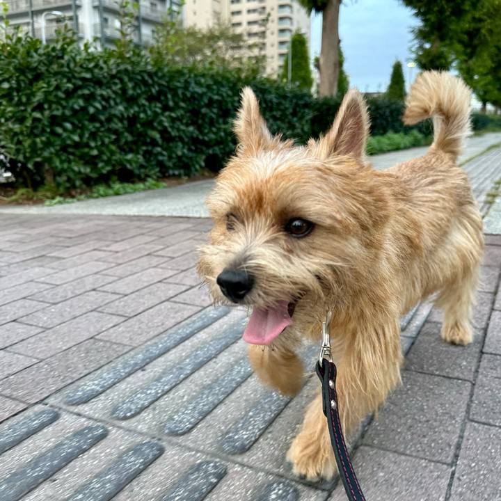 116f49a0 475f 4134 b043 00032044050f 1727748283968