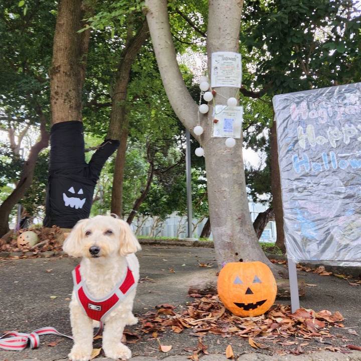 116f4b5c 504b 4f21 be5c dff3af075656 1761701157001