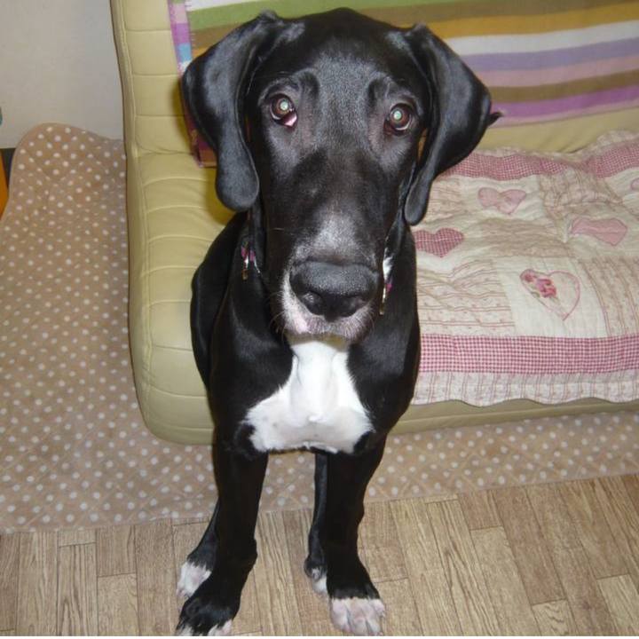 116f5d13 023a 408a b0c2 b69737acfeba 1650755363861