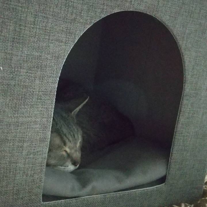 116fbc28 2333 4b1f bee5 63653389f7d6 1681037668676