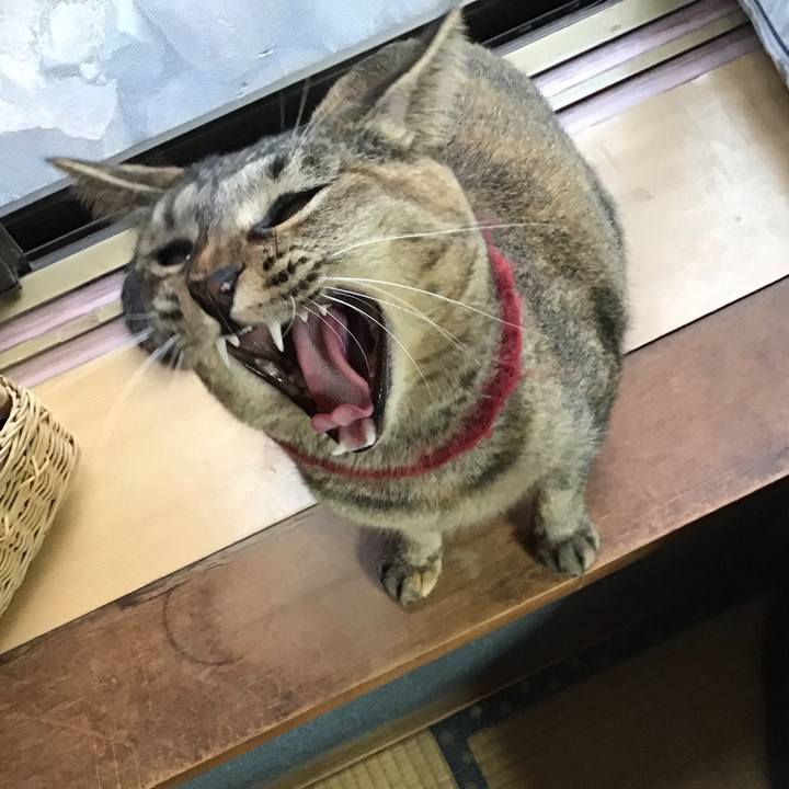 116fd20f e8fd 4a9d 9c0d ce33650a403e 1601281248364