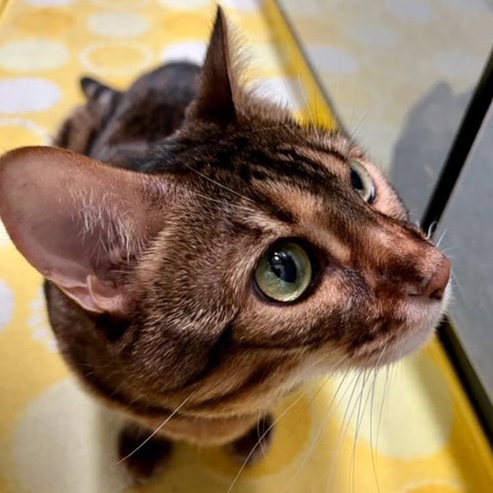 116fe051 8da9 4da0 a707 8c6d12af1264 1664066201721